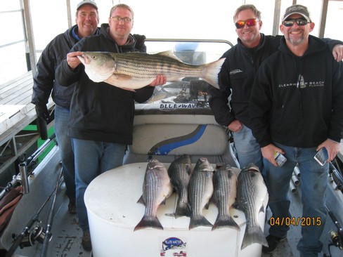 Nice Striped Bass
